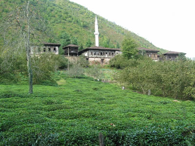 Karadeniz’de, Pazar yaylalarında bir köy.